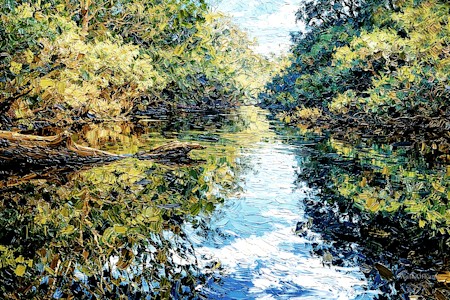 Creek, Jungle, Land, Nature, Outdoors, Scenery, Stream, Vegetation, Water, Woodland